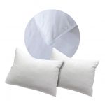 Conjunto de 2 Almofadas Penas 50 X 70