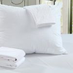 Lecamaleon Pack 2 Fronhas Almofada Impermeáveis 40x40