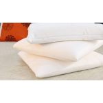 Lecamaleon Pack de 2 Fronhas Almofada Aloe Vera 70x50
