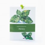 Viva Conjunto de 12 Sacos Aromáticos Essence Menta