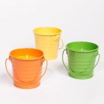 Viva Vela de Citronela Tin A.7.5cm
