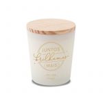 Mr. Wonderful Vela "Juntos Brilhamos Mais" Spicy Love