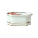 Luso Bonsai Vaso de Bonsai Oval + Prato 20*15*6.5 cm Creme - Yixing - 83553