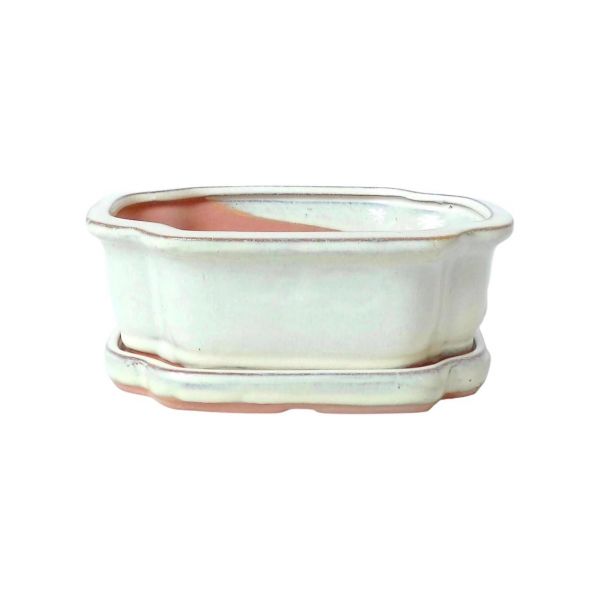 image_thumbnail