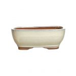 Luso Bonsai Vaso de Bonsai Rectangular 18*13,5*6,5 cm Creme - Yixing - 83163