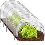Gardlov Mini Estufa de Jardim Túnel (300cm x 45cm x 40cm)