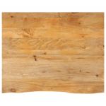 vidaXL Tampo de Mesa com Borda Viva 100x80x2,5 cm Mangueira Maciça - 941361582