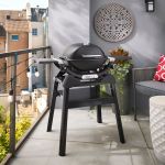 Weber Barbecue Q 1200N com Suporte