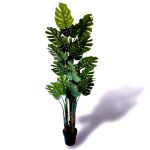 Oliivo Monstera 180cm