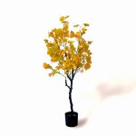 Oliivo Ginkgo 120cm