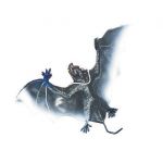 Smiffy's Morcego Pendurado - 220057089