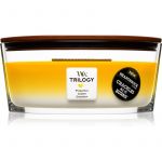 Woodwick Trilogy Fruits of Summer Candle Hearthwick 453,6g