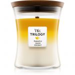 Woodwick Trilogy Fruits of Summer Candle 275g