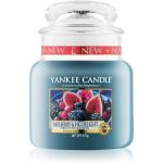 Yankee Classic Candle Mulberry & Fig Classic Candle 411g
