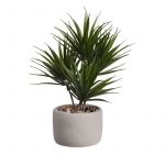 Asa Selection Bonsai Palm Artificial Deko Verde e Cinza - ASA66225444