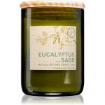 Paddywax Eco Green Eucalyptus & Sage Vela Perfumada 226g