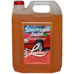 Shampoo Auto Concentrado 5L