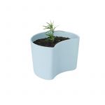 Rig-tig Vaso com Sementes Azul - Your Tree - RTZ00136-3