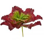 Ibergarden Planta Decorativa Folhas 3 (31 x 24 x 31 cm) - S3603150