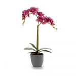 Ibergarden Flor Decorativa Plástico Orquídea - S3606144
