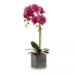 Ibergarden Flor Decorativa Plástico Orquídea - S3606145