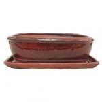 Luso Bonsai Vaso e Prato Cerâmica Sortido de 28 a 30CM - 16292696
