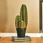 Catral Flor Artificial Cactus Organo 64 cm - 82311771