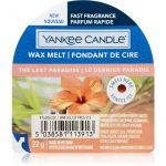 Yankee Classic Candle the Last Paradise Cera Derretida Aromatizante 22g