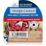 Yankee Classic Candle Red Raspberry Cera Derretida Aromatizante i. 22g