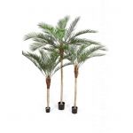 Planta Artificial Palmeira Phoenix 180 cm