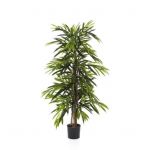 Planta Artificial Longifolia Deluxe 210 cm