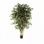 Planta Artificial Ficus Exotica Multitrunk 240 cm