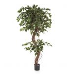 Planta Artificial Ficus Corkscrew Exotica 210 cm