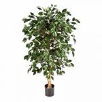 Planta Artificial Ficus Nitida Exotica 210 cm