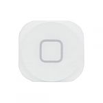 Botão Home iPod 5 White