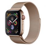 Apple Watch Series 4 GPS + Cellular 40mm Gold Stainless Steel Case with Gold Milanese Loop - MTVQ2TY/A