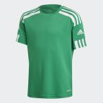 Adidas Camisola Squadra 21 Team Green / White 128 - GN5743-128