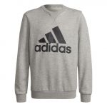 Adidas Sweatshirt Essentials Cinzento / Preto 9-10 Anos