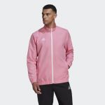 Adidas Casaco Masculino de Apresentação Entrada 22 Semi Pink Glow XL - HC5040-XL