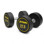 ZIVA Halteres redondos borracha Performance (par) - 22.5kg