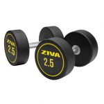 ZIVA Halteres redondos borracha Performance (par) - 2.5kg