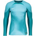 Nike Camisola Foundation Long Sleeve Goalkeeper Jersey dj7232-461 M Azul