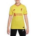 Nike Camisa Liverpool Fc 2021/22 Stadium Third Big Soccer Jersey db6246-704 S Amarelo
