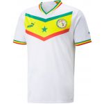 Puma Camisa Senegal Home 2022/23 Replica Jersey Men 765694-001 S Verde