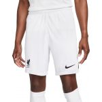 Nike Calças Lfc M Nk Stad Short Aw 2022/23 dn2725-100 XXL Branco