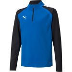 Puma Sweatshirt Teamliga 1/4 Zip Top 65723702 Xxs (111-116 cm) Azul