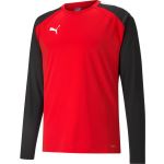 Puma Sweatshirt Teamliga Training Sweat 65723801 L Vermelho