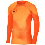 Nike Camisola de Manga-comprida Dri-fit Adv Gardien 4 Goalkeeper dh8346-819 L Laranja