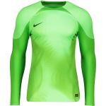 Nike Camisola de Manga-comprida Foundation Long Sleeve Goalkeeper Jersey dj7232-398 M Verde