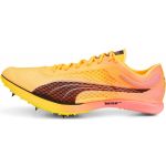 Puma Sapatilhas de Pista/bicos Evospeed Distance Nitro Elite 37738301 47 Laranja